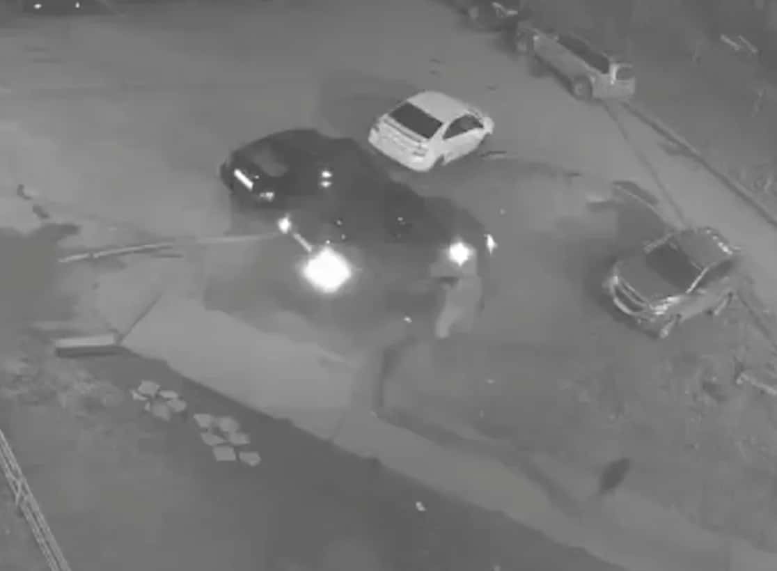 Ночные хулиганы в Нижнем Тагиле ходят по Гальянке и уродуют машины: видео