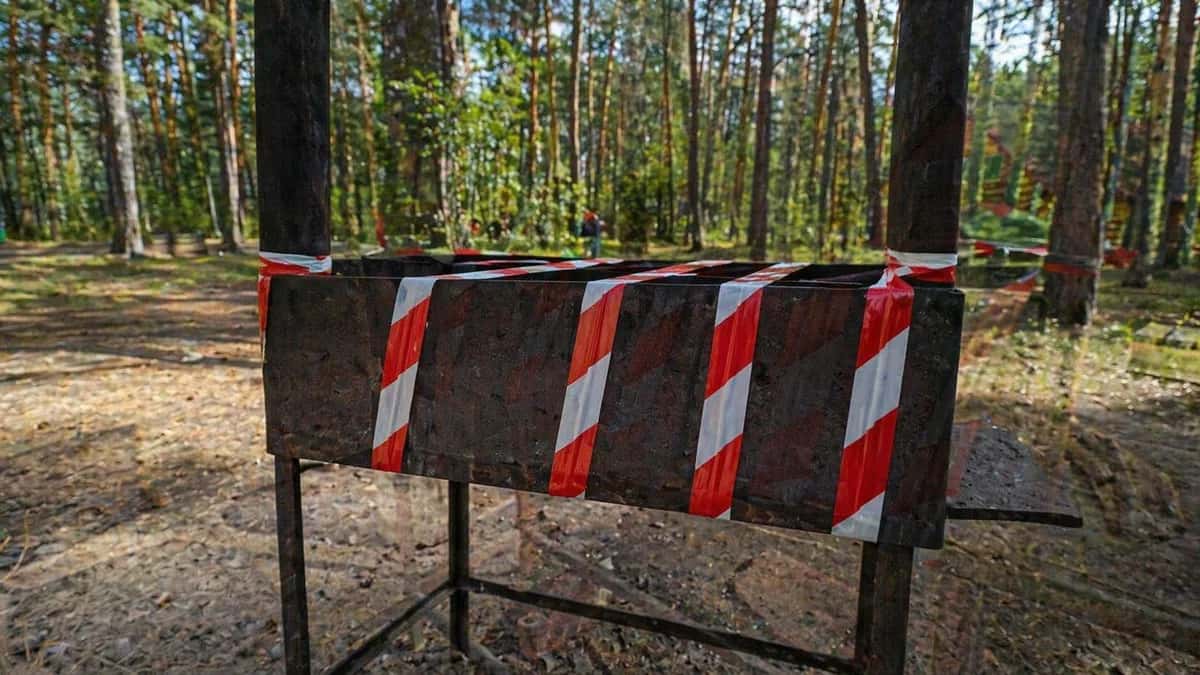 Жителям Нижнего Тагила напомнили о запретах в лесу во время особого противопожарного режима