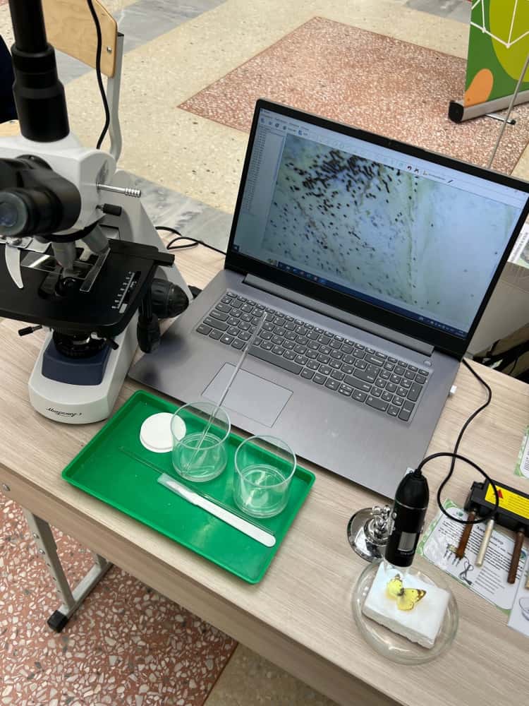 Юные натуралисты Нижнего Тагила делают открытие