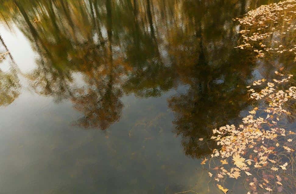 В Нижнем Тагиле проводят экспертизу дна водоема: на местном пруду заметили буровую установку