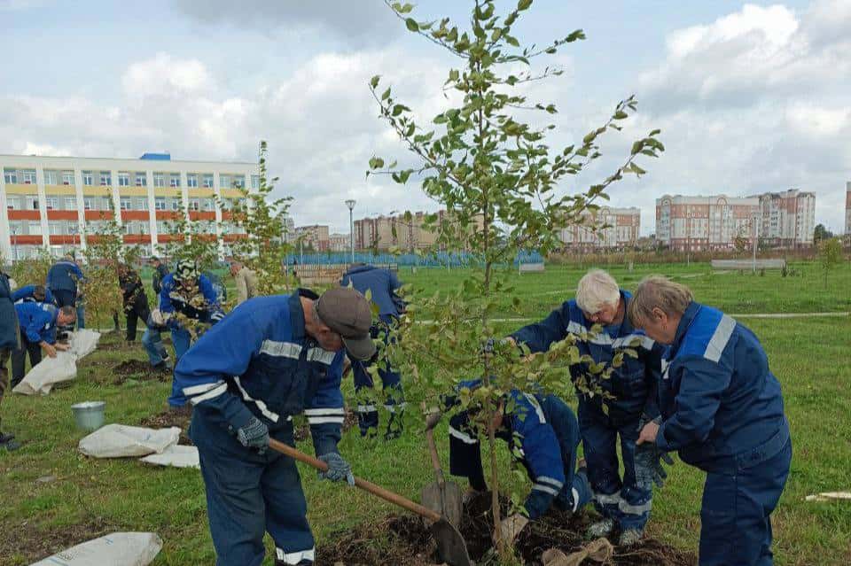 В Нижнем Тагиле посадили яблоневую аллею в новом экопарке на Муринских прудах