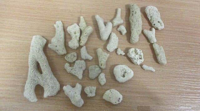 В уральском аэропорту задержали туристку, которая на память привезла кораллы из Дубая