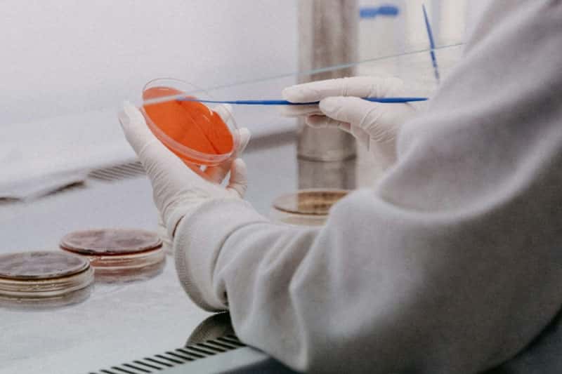 Российская вакцина против рака успешно завершила доклинические испытания