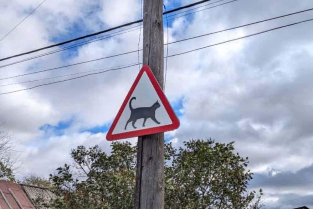 «Осторожно, котики!»: в Нижнем Тагиле заметили милый дорожный знак
