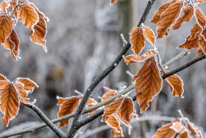 Синоптик Пулин рассказал, что с октября свердловчан будут ожидать минусовые температуры