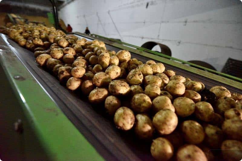 Свердловская область превысила планы по уборке урожая 