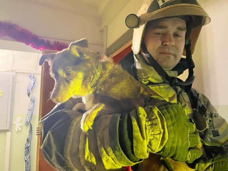 В Нижнем Тагиле пожарные спасли пенсионера и собаку из огня