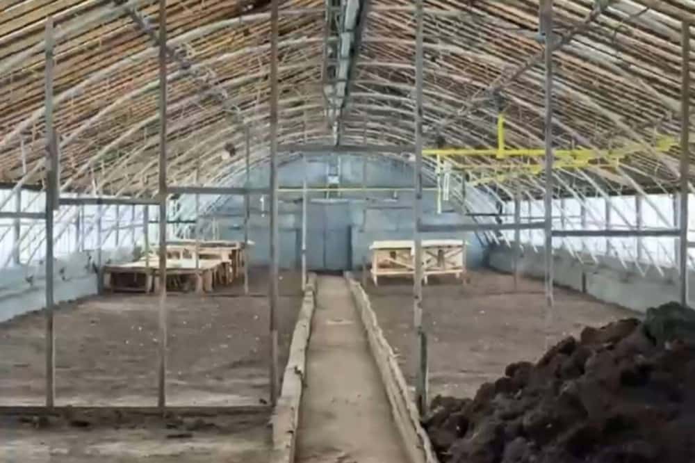 В Нижнем Тагиле продолжают восстанавливать муниципальное тепличное хозяйство