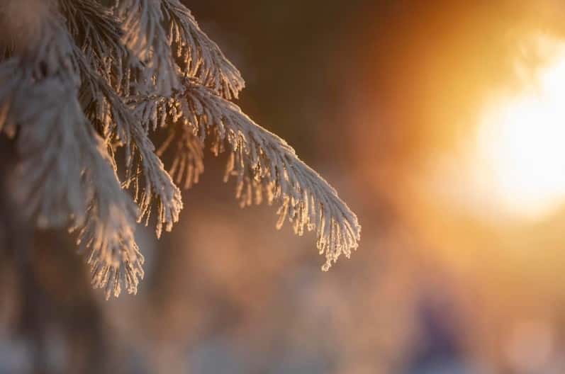 На территорию Свердловской области начала поступать теплая воздушная масса