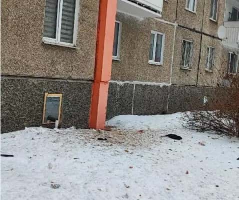 В Нижнем Тагиле пожаловались на многодетную мать, выбрасывающую отходы на головы прохожих