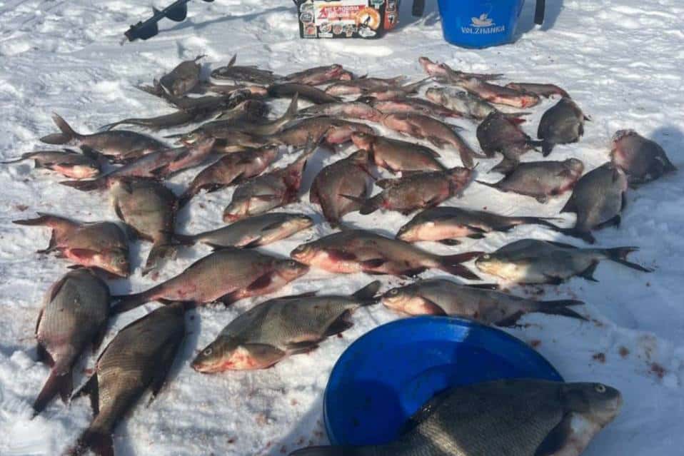 Рыбак поделился своим уловом под Нижним Тагилом: «За час четыре сработки, три щуки добыл»