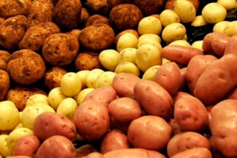 В Свердловской области вновь подорожали овощи, но подешевели яйца