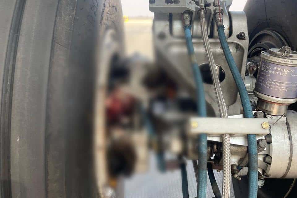 Птицы попали в двигатель самолета, летевшего из Екатеринбурга во Владивосток