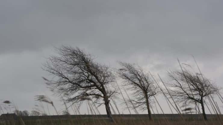 В Свердловской области объявлено штормовое предупреждение из-за сильного ветра