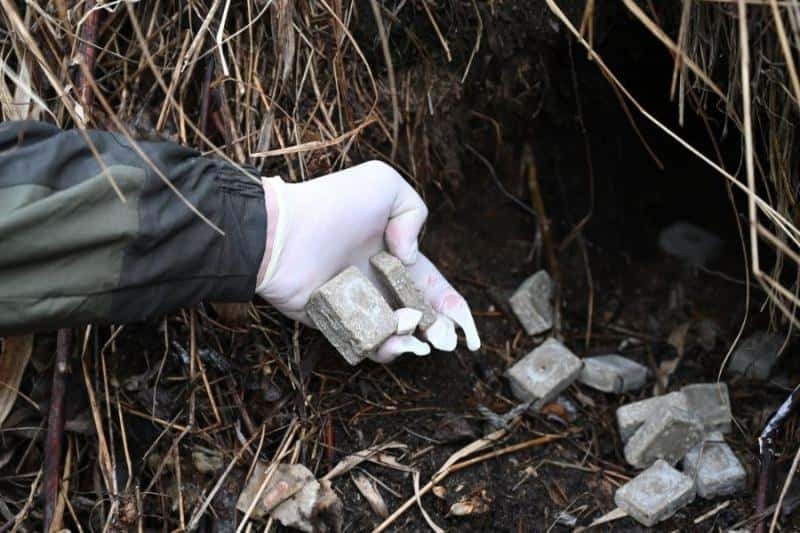  По лесам Среднего Урала распространят дозу: охотинспекторы проведут кампанию по вакцинации животных