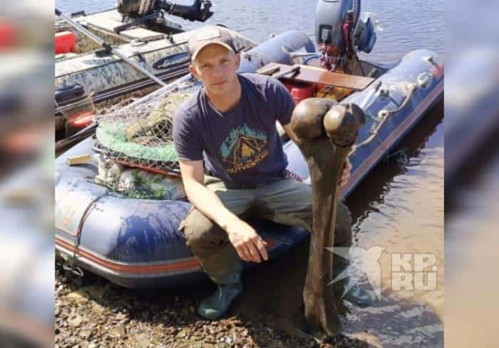 В Свердловской области рыбак выловил 15-килограммовую кость мамонта