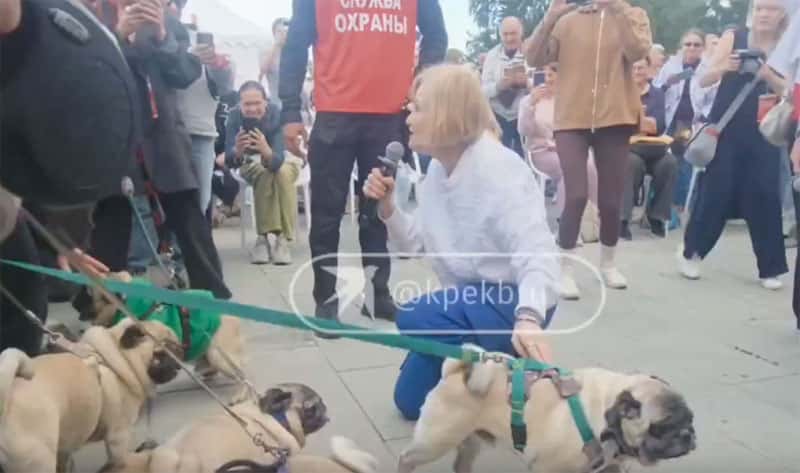 Дарья Донцова пришла в Екатеринбург: писательница шутила, делилась секретами и хвалила мопсов