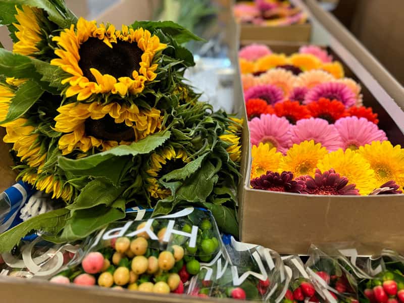 Импорт цветов на Урал в августе вырос в два раза: подробности поставок роз, хризантем и гвоздик