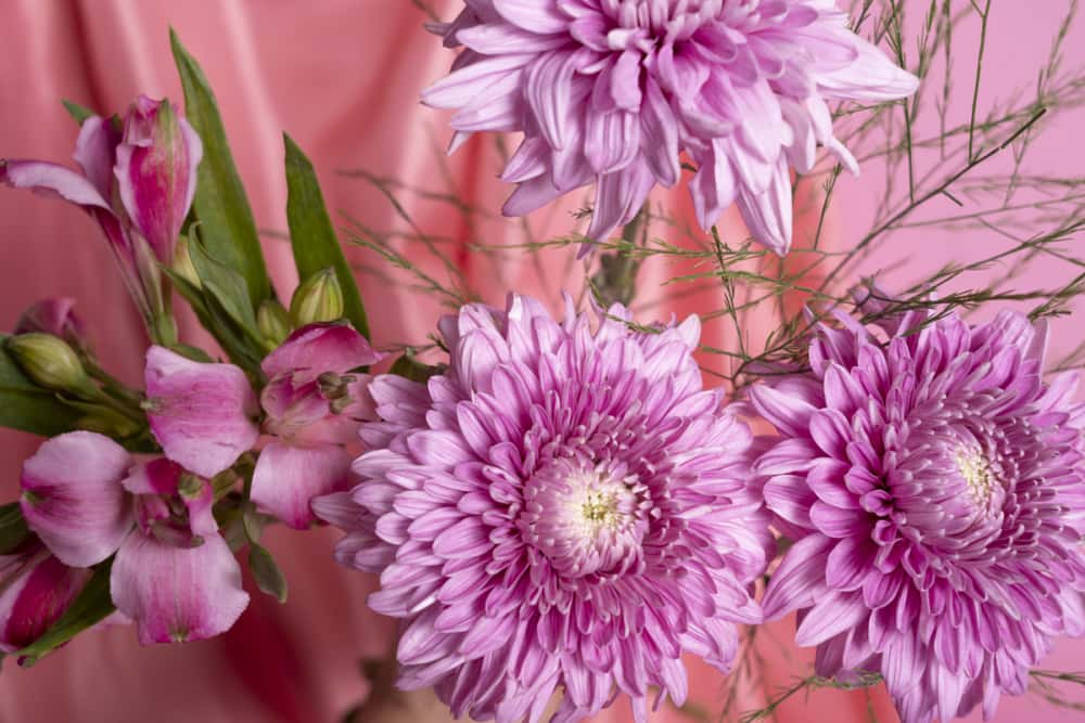 Ошибка родителей на 1 сентября: какие цветы покупать нельзя