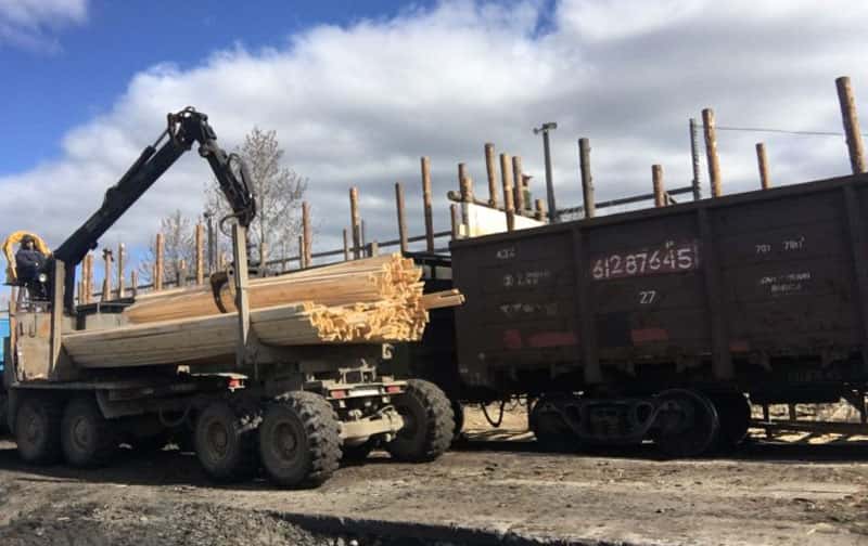 57 тысяч кубометров леса ушли за границу: куда Россия отправила древесину и кто проверил груз