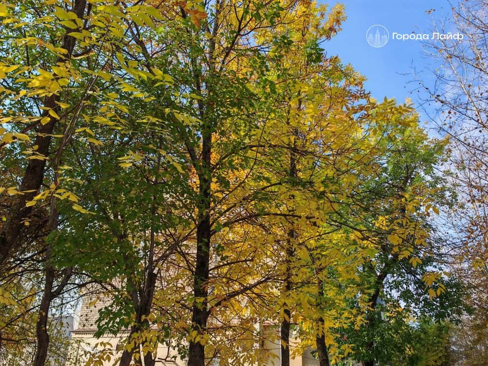 Погода в Нижнем Тагиле: пасмурно и до +6° с высокой влажностью