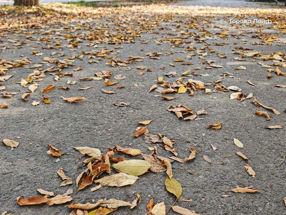 Погода в Нижнем Тагиле 4 октября: пасмурный день и похолодание ночью