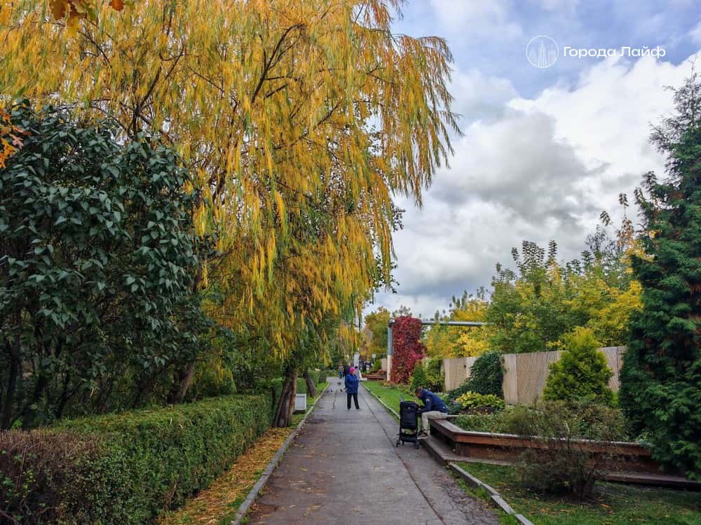 В Свердловской области начинается резкое похолодание: в выходные ожидается снег и температура до +1°