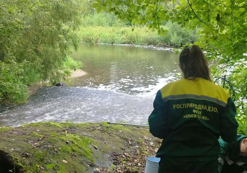 На Урале погибло более 37 тысяч рыб — в реке нашли опасное загрязнение