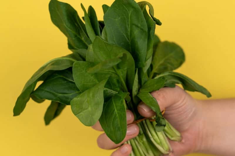 Вечная молодость на тарелке: токсиколог Кутушов назвал главный продукт для сохранения здоровья