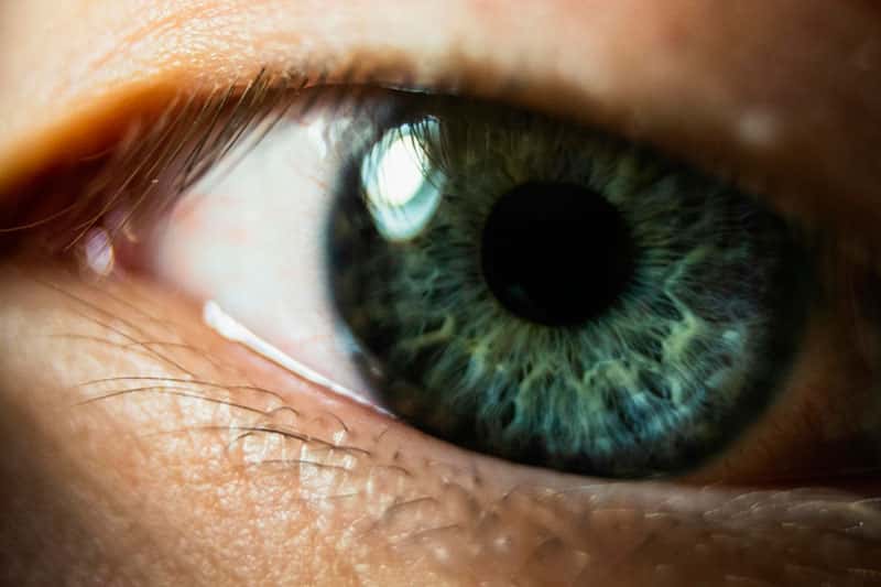 Искусственное зрение в России: эксперт Казанцева рассказала о прорыве