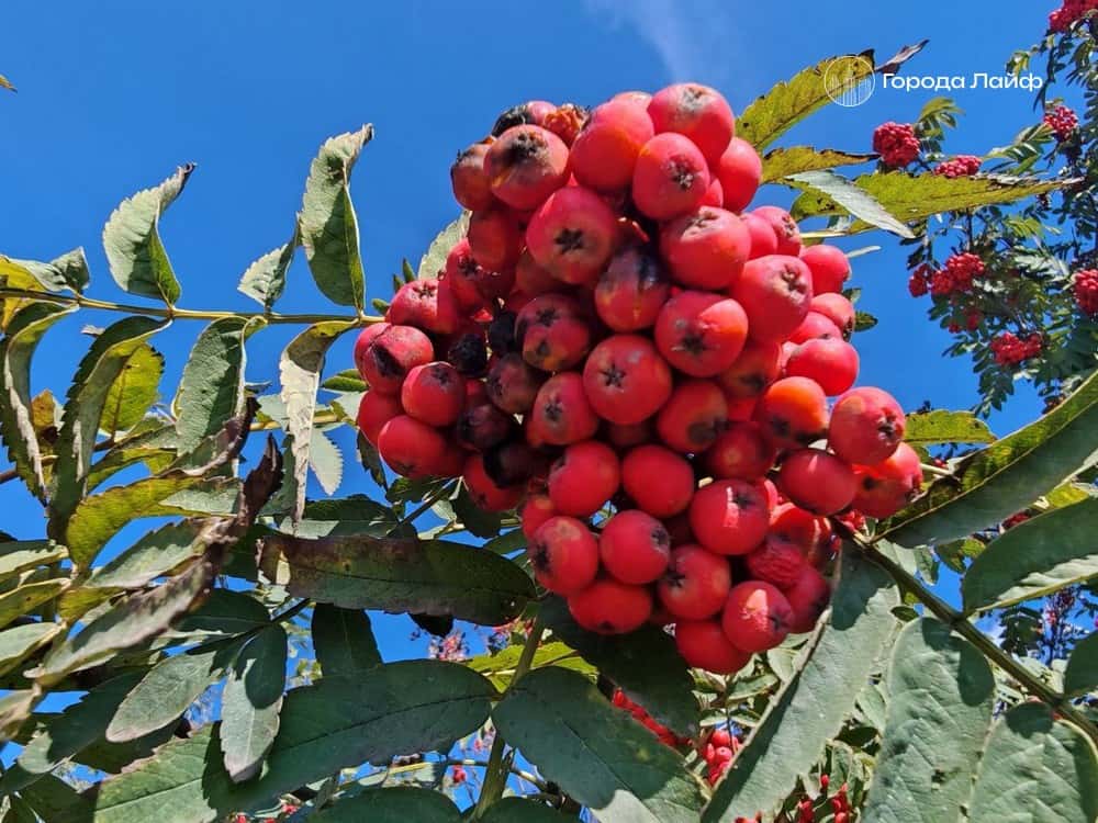 Приметы на 17 ноября: почему в Еремин день нельзя выходить из дома и что категорически запрещено делать