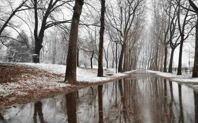 Прогноз погоды в Свердловской области на 26-28 ноября: снегопады и гололедица