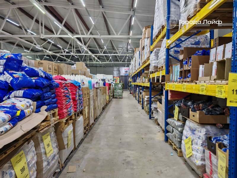 Цены на продукты и топливо в Свердловской области: мясо и бензин дешевеют, овощи продолжают расти