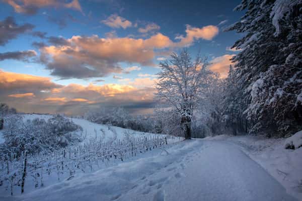 Прогноз погоды в Свердловской области на 15–17 декабря 2025: снегопады, метели и температуры