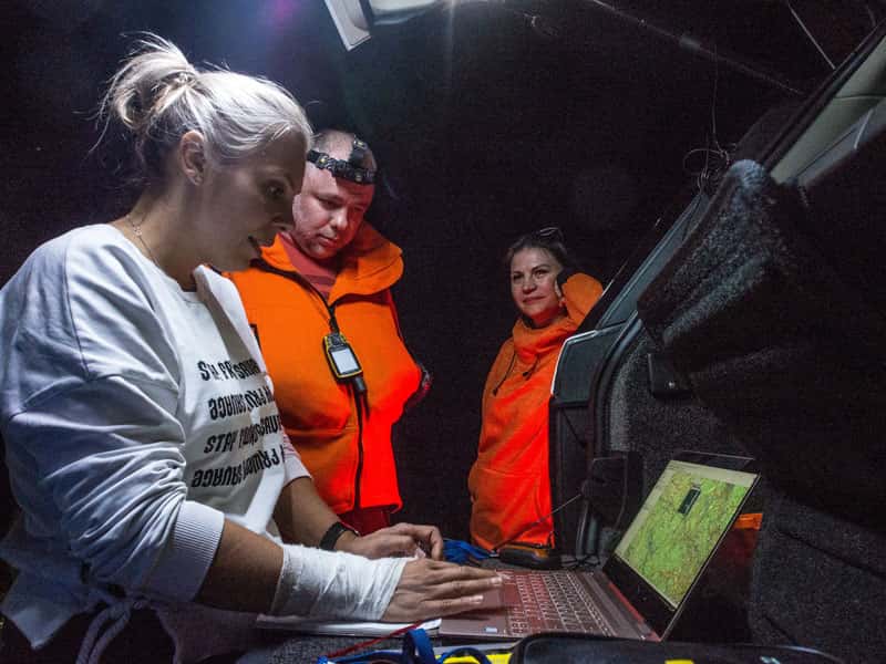 Статистика пропавших в Свердловской области за 2025 год: 1342 заявки, 966 найденных живыми