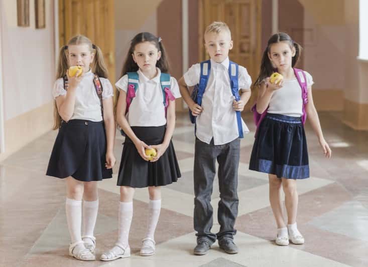 В России запретят публиковать готовые решения ЕГЭ, ОГЭ и домашние задания в интернете