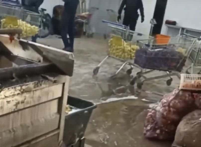 «Грязь, вонь, захламленные склады»: овощебазу в Нижнем Тагиле накрыли силовики