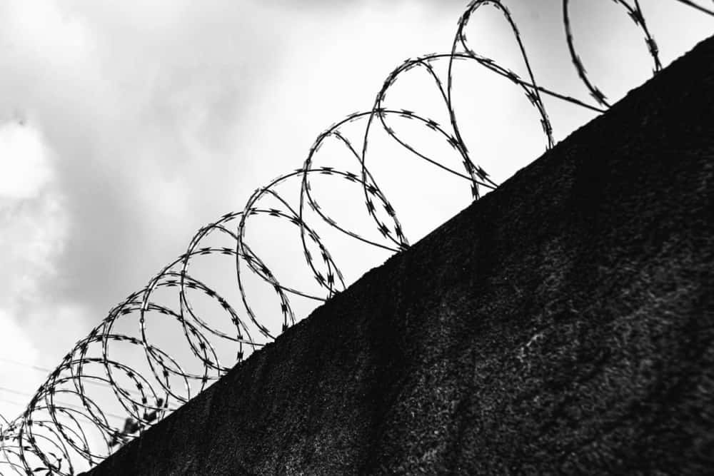 Передавал запрещённые предметы: сотрудник колонии в Нижнем Тагиле сам попал за решётку