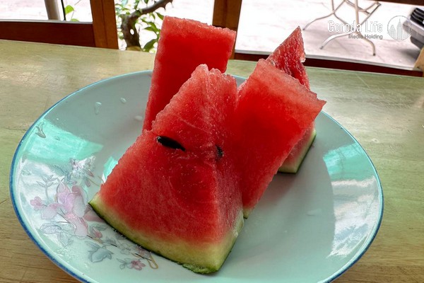 В свердловских магазинах появится первая партия арбузов из Казахстана | На Урал завезли первые арбузы из Казахстана В свердловских магазинах появится первая партия арбузов из Казахстана | На Урал завезли первые арбузы из Казахстана