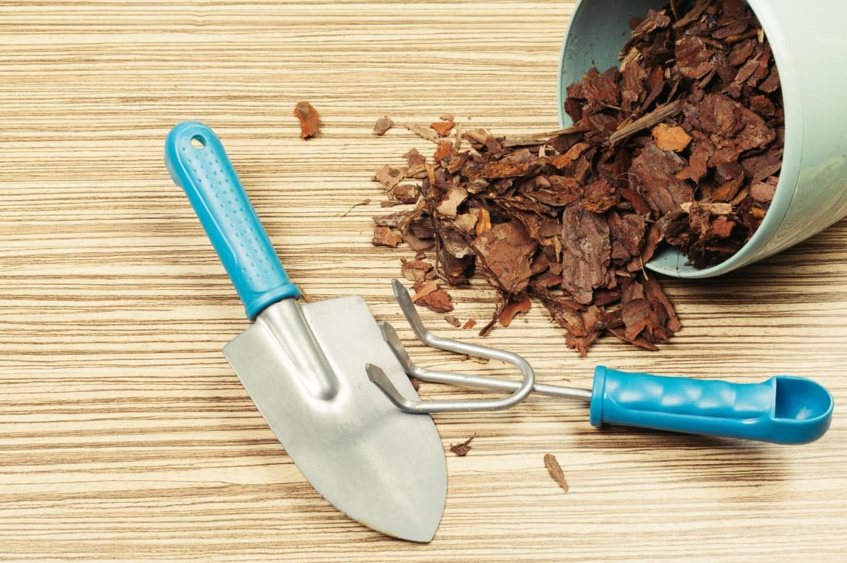 Сыплю 8–10 см — полива в 3 раза меньше, спину не гну над сорняками: теперь огород в радость, а не в тягость 