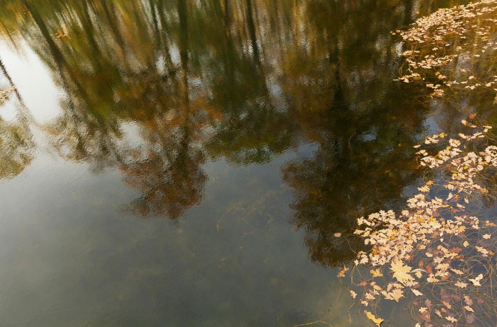 В Нижнем Тагиле возбудили уголовное дело по факту проведения несогласованных работ на особо охраняемой природной территории – Черноисточинском водохранилище | На Урале частично уничтожили ландшафт особо охраняемой природной территории