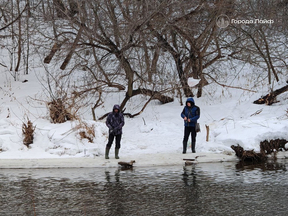 Топ-9 самых рыбных рек и озер Свердловской области: где ловить щуку, леща и хариуса после запрета | Самые рыбные места Свердловской области: топ-9 рек и озер Топ-9 самых рыбных рек и озер Свердловской области: где ловить щуку, леща и хариуса после запрета | Самые рыбные места Свердловской области: топ-9 рек и озер