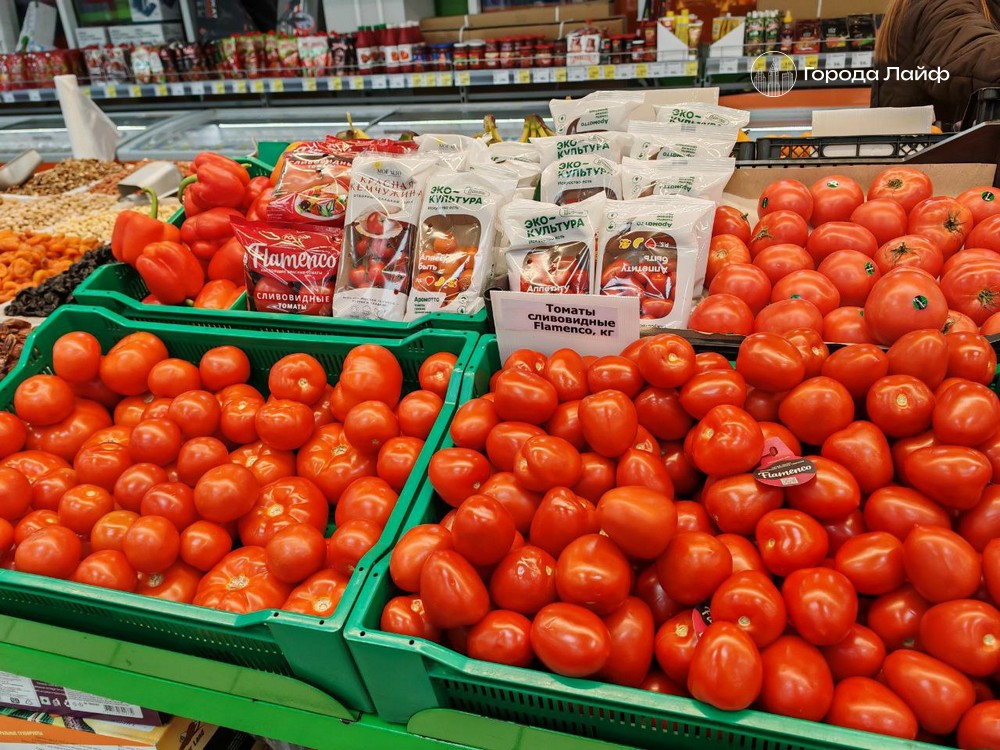 Календарь посадки томатов на март 2026 года: когда сеять помидоры на рассаду и высаживать в грунт