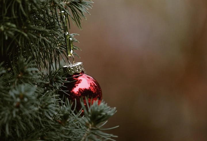 Мэр Нижнего Тагила исполнил мечту юного футболиста Мэр Нижнего Тагила исполнил мечту юного футболиста