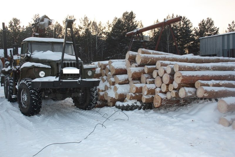 На свердловском лесоповале мужчину насмерть придавило деревом На свердловском лесоповале мужчину насмерть придавило деревом