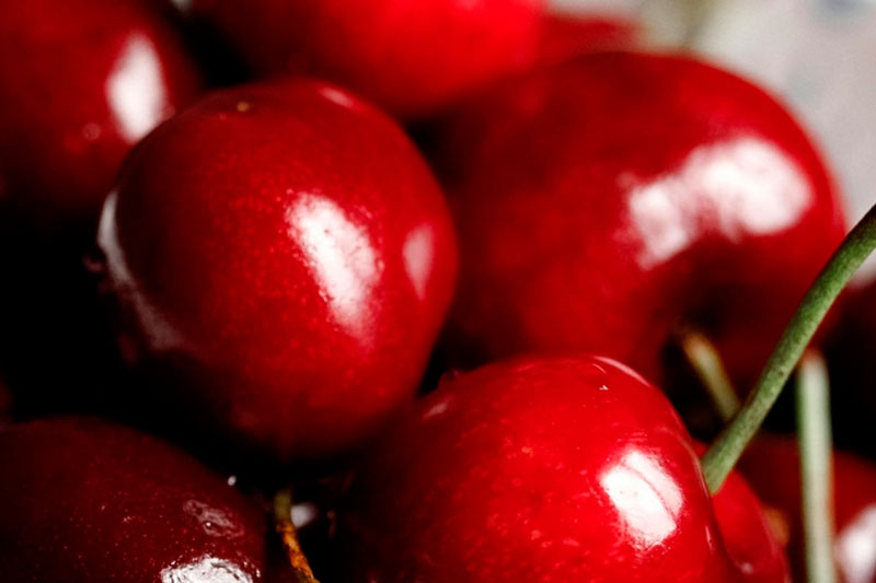 В Свердловскую область завезли первую в 2025 году партию черешни и абрикосов | На Урал завезли первую партии черешни и абрикосов из Узбекистана