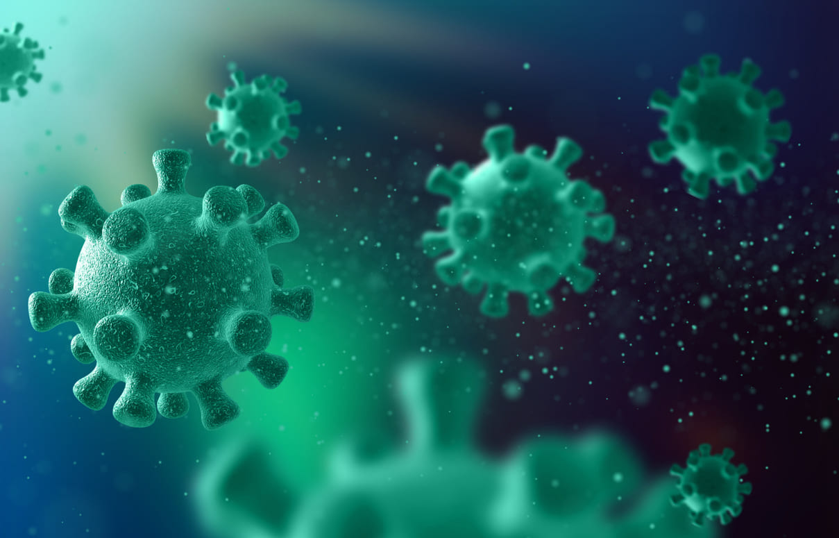 Смертельный вирус Нипах, от которого нет лекарства: как не заразиться — мнение врачей