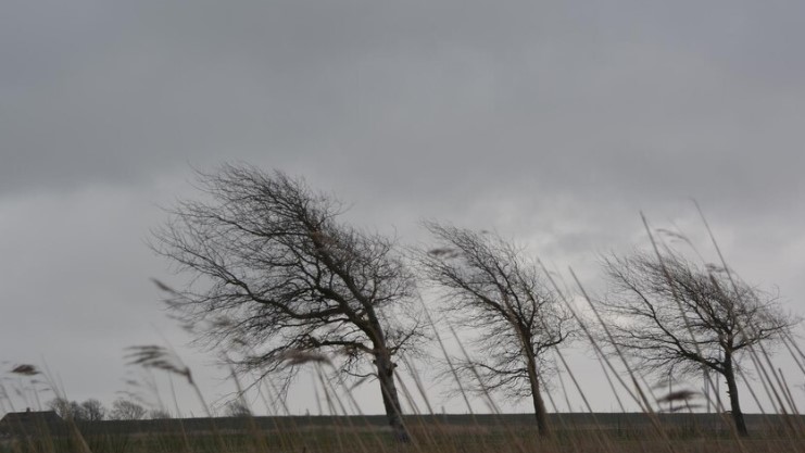 Холодный фронт движется к Нижнему Тагилу: ожидается похолодание до +12°С | Синоптик предупредил о приближении холодного фронта к Уралу
