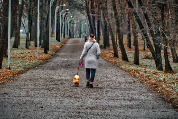 Эксперт Гурин развеял миф о 10 000 шагах: сколько нужно ходить на самом деле для здоровья | Эксперт Гурин рассказал, сколько нужно ходить для здоровья