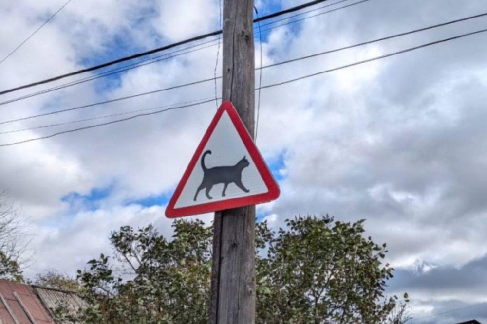 «Осторожно, котики!»: в Нижнем Тагиле заметили милый дорожный знак | На Урале свердловчане замечают необычные дорожные знаки